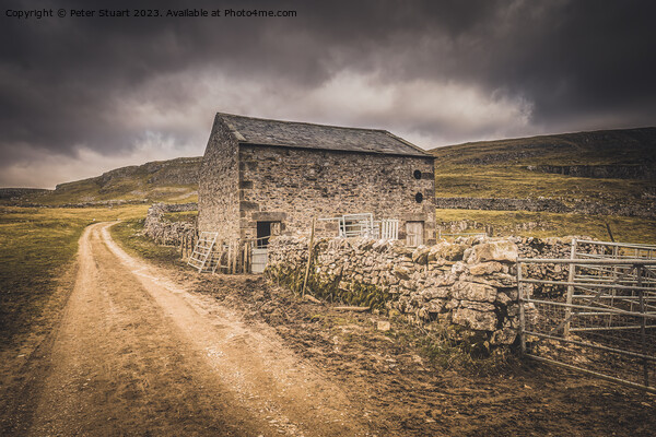 Yorkshire Dales barn on the Settle Loop above Lang Picture Board by Peter Stuart