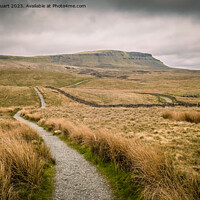Buy canvas prints of Walking on the Pennine Way and Ribble Way below Pen-y-Ghent in H by Peter Stuart