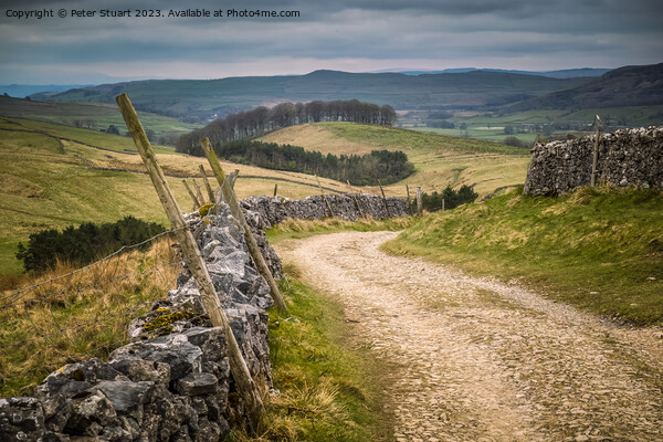 Walking on the Pennine Way and Ribble Way below Pen-y-Ghent Picture Board by Peter Stuart
