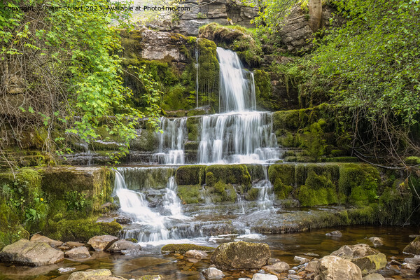 Waterfall at Swimner Gill above Keld in the Yorkshire Dales Picture Board by Peter Stuart