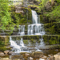 Buy canvas prints of Waterfall at Swimner Gill above Keld in the Yorkshire Dales by Peter Stuart