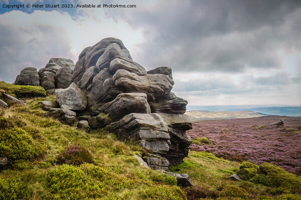 Hill walking on Cracoe Fell and Rylestone Fell Picture Board by Peter Stuart