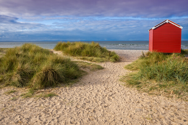 Findhorn Beach Huts Picture Board by Peter Stuart