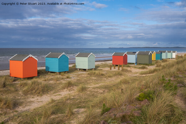 Findhorn Beach Huts Picture Board by Peter Stuart