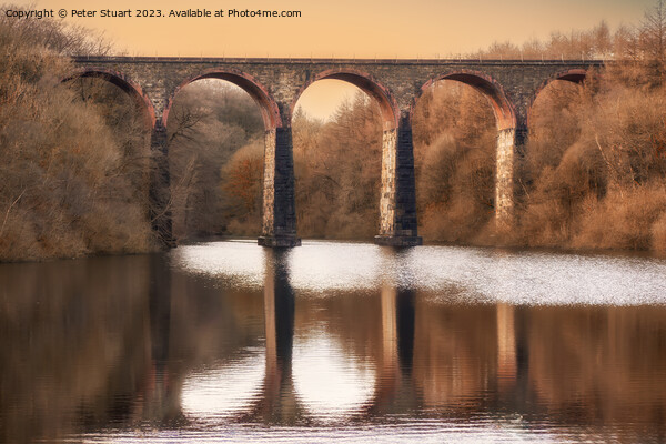 Amsgrove Viaduct over Wayoh Reservoir Picture Board by Peter Stuart