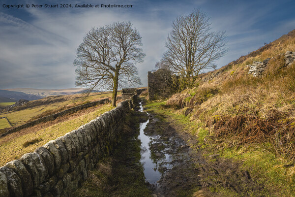 Abandoned stone farmhouse on the Calderdale Way Picture Board by Peter Stuart