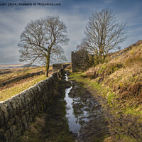 Buy canvas prints of Abandoned stone farmhouse on the Calderdale Way by Peter Stuart