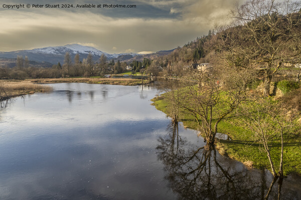 Ben Ledi from the river Teith at Callander Picture Board by Peter Stuart
