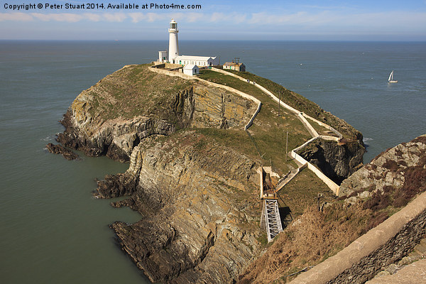  South Stack Lighthouse Picture Board by Peter Stuart