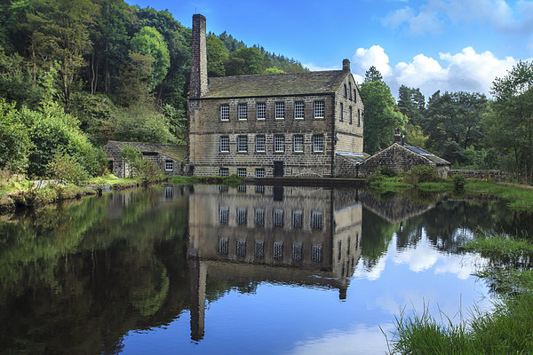  Mill on the :Pond Picture Board by Peter Stuart