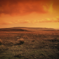 Buy canvas prints of  Winter Hill - This Way by Peter Stuart