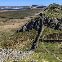 Buy canvas prints of  Hadrians Wall by Peter Stuart