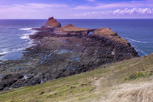  The Worms Head Picture Board by Peter Stuart