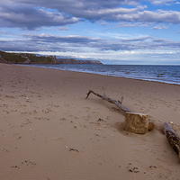 Buy canvas prints of  Beach Comber by Peter Stuart