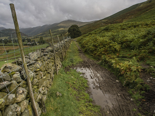  Troutbeck Tongue Picture Board by Peter Stuart