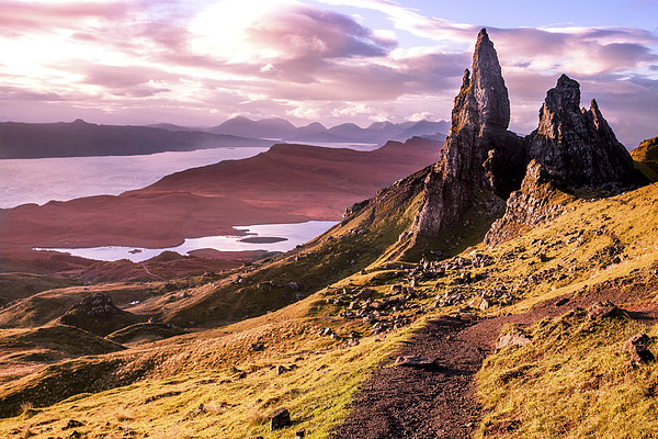 The Old Man of Storr, Skye Picture Board by Peter Stuart
