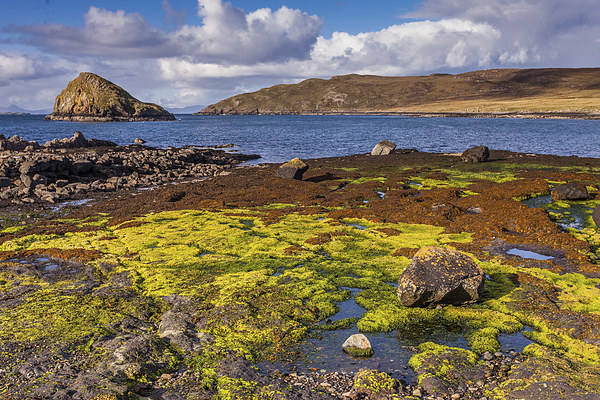  Tulm Bay, Skye, Scotland Picture Board by Peter Stuart