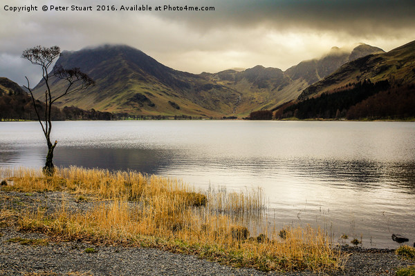 Fleetwith Pike and Buttermere Picture Board by Peter Stuart