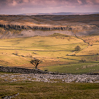 Buy canvas prints of Crummockdale, Austwick, North Yorkshire, by Peter Stuart