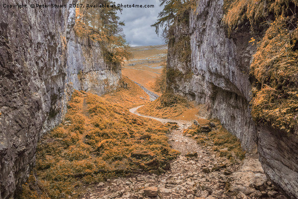 Trow Gill aboVr Clapham in the Yorkshire Dales Picture Board by Peter Stuart