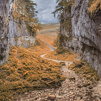 Buy canvas prints of Trow Gill aboVr Clapham in the Yorkshire Dales by Peter Stuart