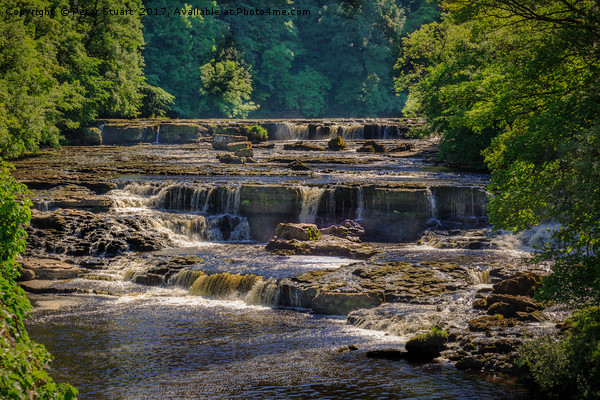 Aysgarth Falls, North Yorkshire Picture Board by Peter Stuart