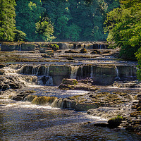 Buy canvas prints of Aysgarth Falls, North Yorkshire by Peter Stuart