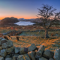 Buy canvas prints of Hadrian's Wall, Northumbria by Peter Stuart