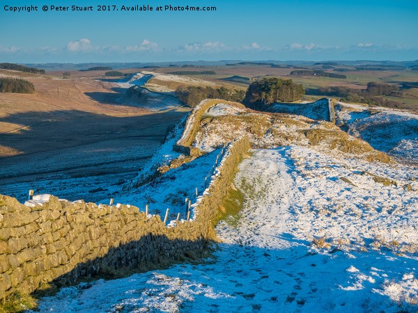 Hadrian's Wall, Northumberland Picture Board by Peter Stuart
