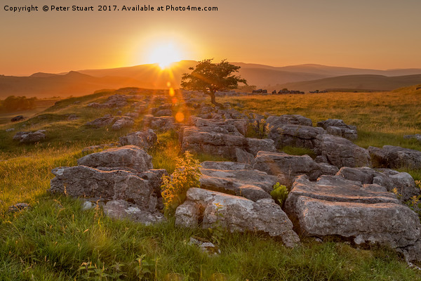 Sunset over Winskill Stones at Langcliffe, Yorkshi Picture Board by Peter Stuart