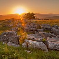 Buy canvas prints of Sunset over Winskill Stones at Langcliffe, Yorkshi by Peter Stuart
