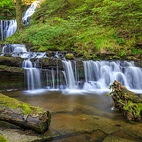 Buy canvas prints of Scalebar Force, Settle by Peter Stuart