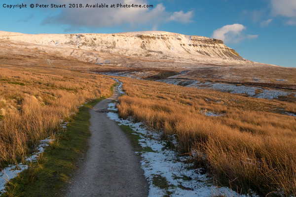 Pen-Y-Ghent, North Yorkshire Picture Board by Peter Stuart