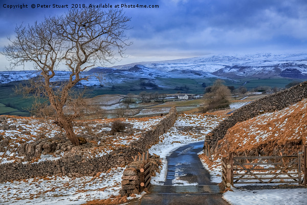 Winskill Stones, Yorkshire Dales Picture Board by Peter Stuart