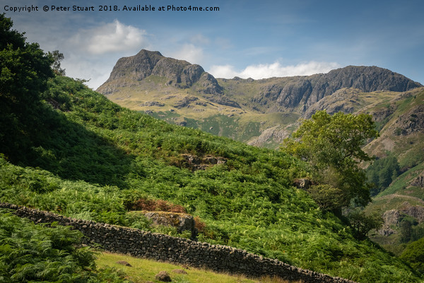 Langdale Pike Picture Board by Peter Stuart