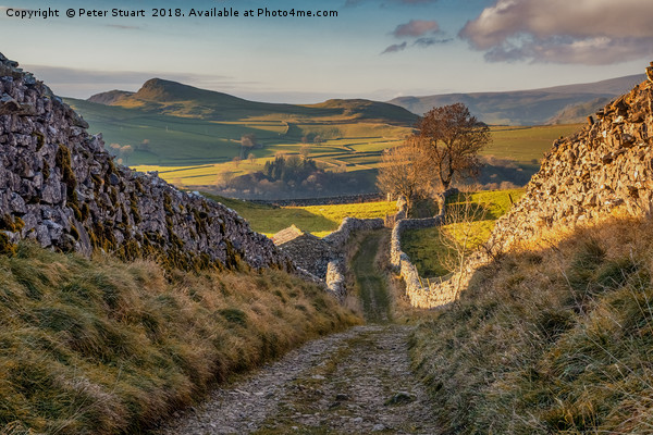 Yorkshire Dales Lanes Picture Board by Peter Stuart