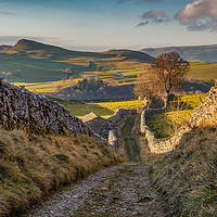 Buy canvas prints of Yorkshire Dales Lanes by Peter Stuart