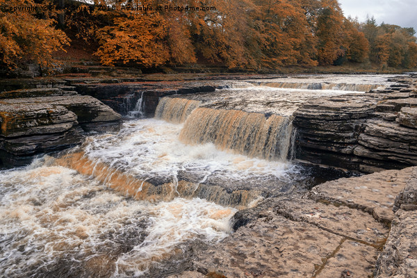 Aysgarth Force Picture Board by Peter Stuart