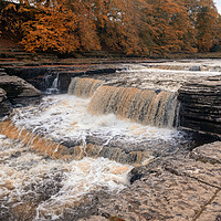 Buy canvas prints of Aysgarth Force by Peter Stuart