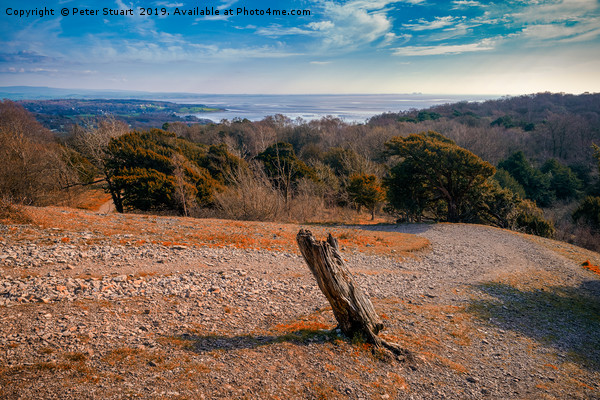Carnforth from the top of Arnside Knott Picture Board by Peter Stuart