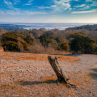 Buy canvas prints of Carnforth from the top of Arnside Knott by Peter Stuart