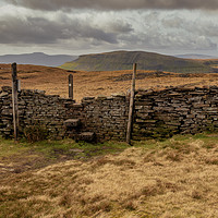 Buy canvas prints of Pen-Y-Ghent from Fountains Fell by Peter Stuart