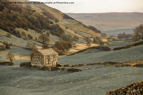Auntumnal Swaledale Picture Board by Peter Stuart