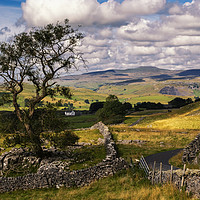 Buy canvas prints of Winskill Stones above Langcliffe near Settle by Peter Stuart