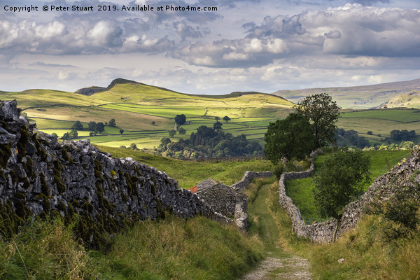 Old Lanes above stainforth, Yorkshire Dales Picture Board by Peter Stuart