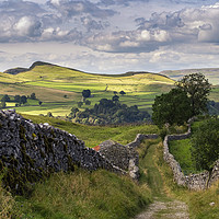 Buy canvas prints of Old Lanes above stainforth, Yorkshire Dales by Peter Stuart