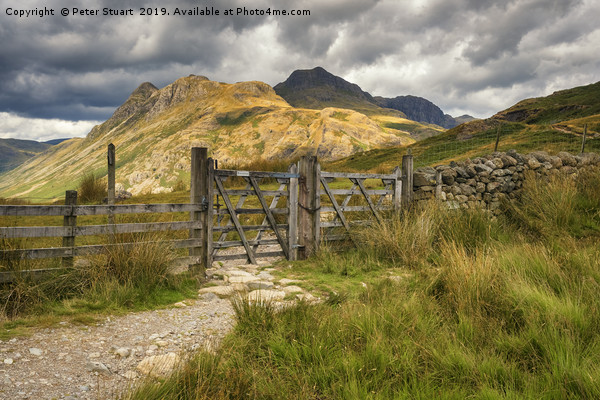 The Langdale Pikes  Picture Board by Peter Stuart