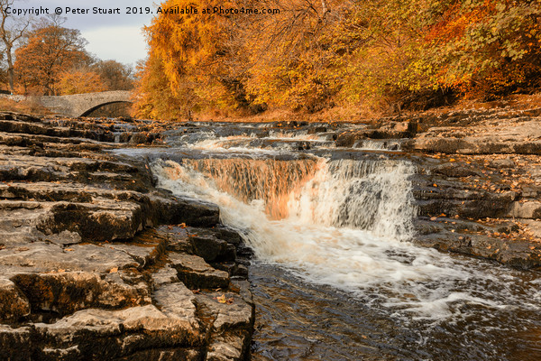 Stainforth Force, Yorkshire Dales Picture Board by Peter Stuart