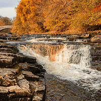 Buy canvas prints of Stainforth Force, Yorkshire Dales by Peter Stuart