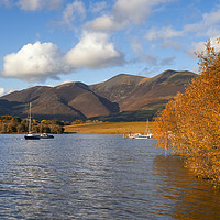 Buy canvas prints of Autumnal Skiddaw by Peter Stuart